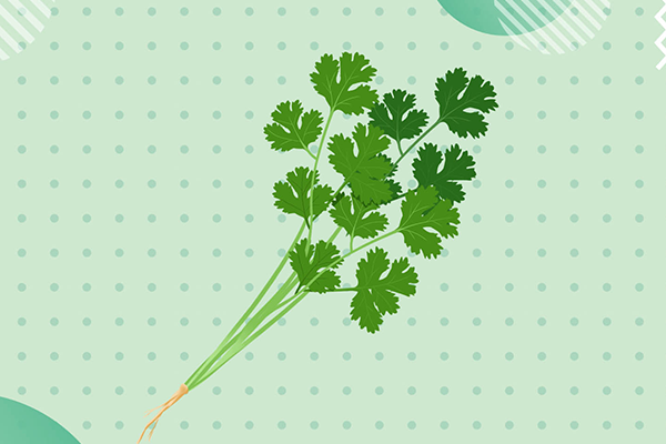 ���׳������ɱ�� ���˳������ʲô�ô�